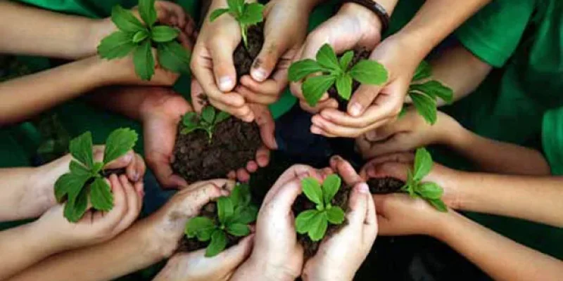 environmental-education